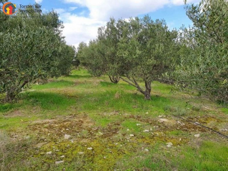 Pitsidia Süd Kreta, Pitsida Baugrundstück mit Meerblick ca.5500m² Grundstück kaufen